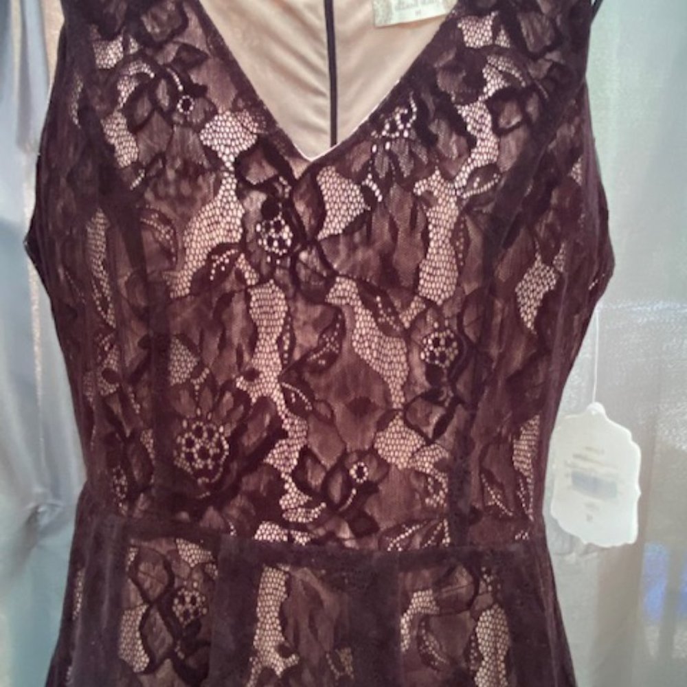 Altar'd State Black Lace, nude shell Dress